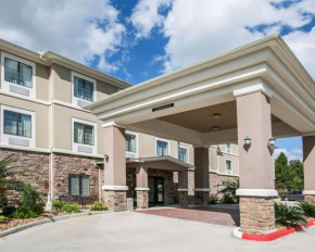  Sleep Inn & Suites - I-45/ Airtex  Хьюстон